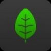 lorie_hutton